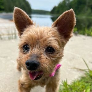 Meet your Posher, Emily